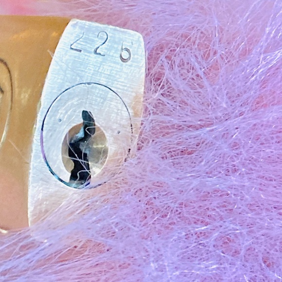 Louis Vuitton Tag and Lock (226) “A Thousand Years” - Picture 16 of 16